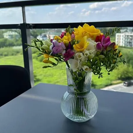 L27 Sauna And Gym Apartment *