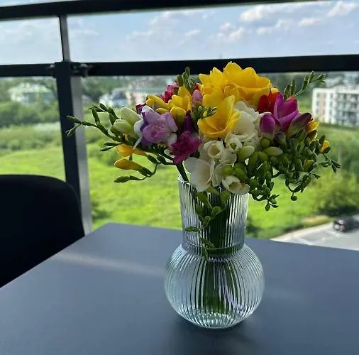 L27 Sauna And Gym شقة *